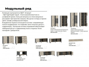 Гостиная Отис Дуб Крафт Серый/Антрацит в Кыштыме - kyshtym.magazinmebel.ru | фото - изображение 5