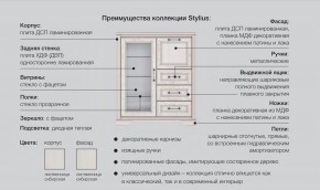 Прихожая модульная Стилиус в Кыштыме - kyshtym.magazinmebel.ru | фото - изображение 2