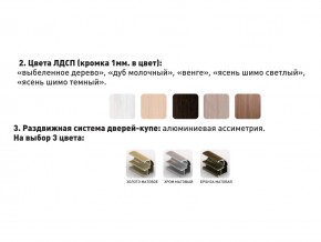 Шкаф-купе Акцент-Сим Д 1200-600 шимо светлый в Кыштыме - kyshtym.magazinmebel.ru | фото - изображение 3