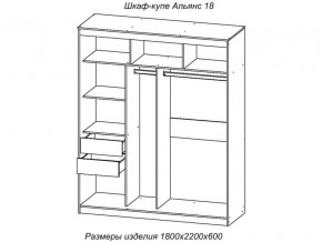 Шкаф-купе Альянс 18 комплект зеркал №4 в Кыштыме - kyshtym.magazinmebel.ru | фото - изображение 2