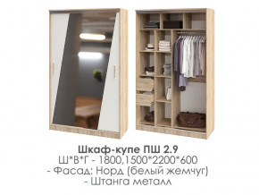 шкаф-купе ПШ-2.9 1500 Норд Белый жемчуг 1500 в Кыштыме - kyshtym.magazinmebel.ru | фото